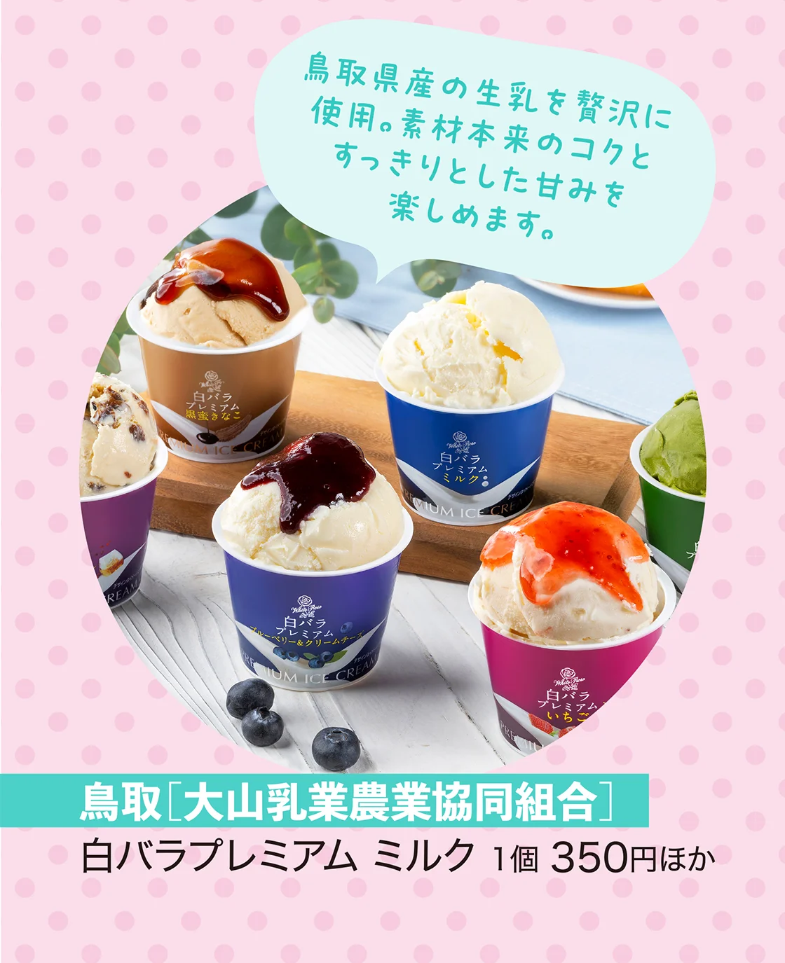 鳥取［大山乳業農業協同組合］