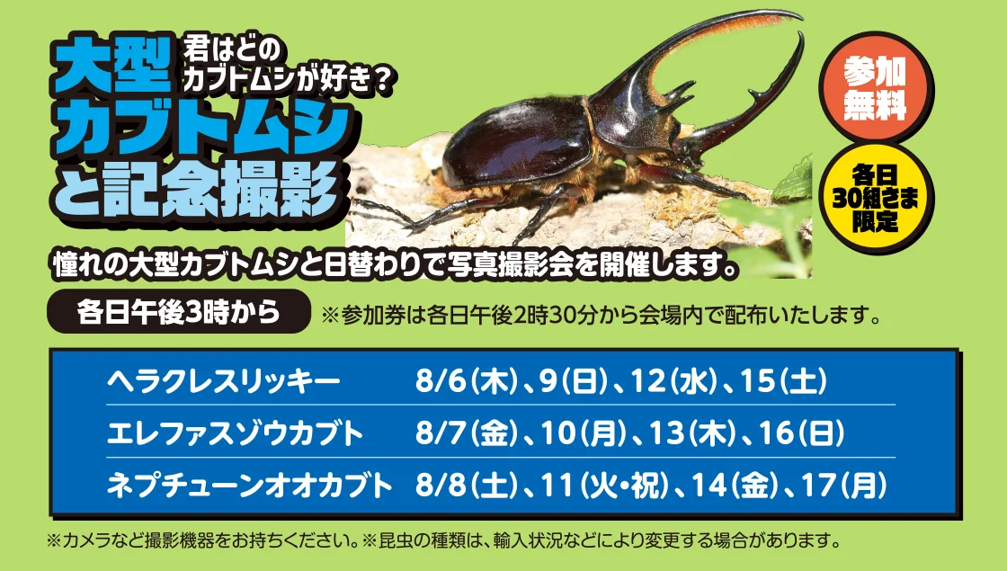 大型カブトムシと記念撮影
