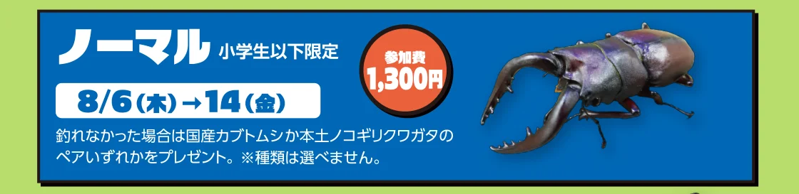 ノーマル