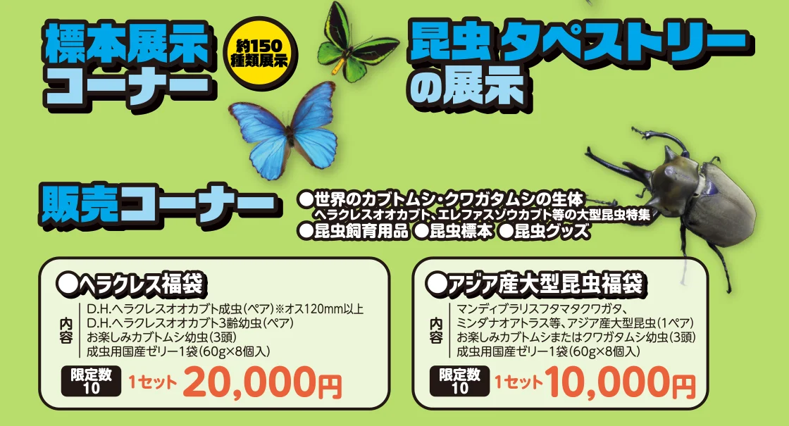 標本展示コーナー／昆虫タペストリーの展示／販売コーナー