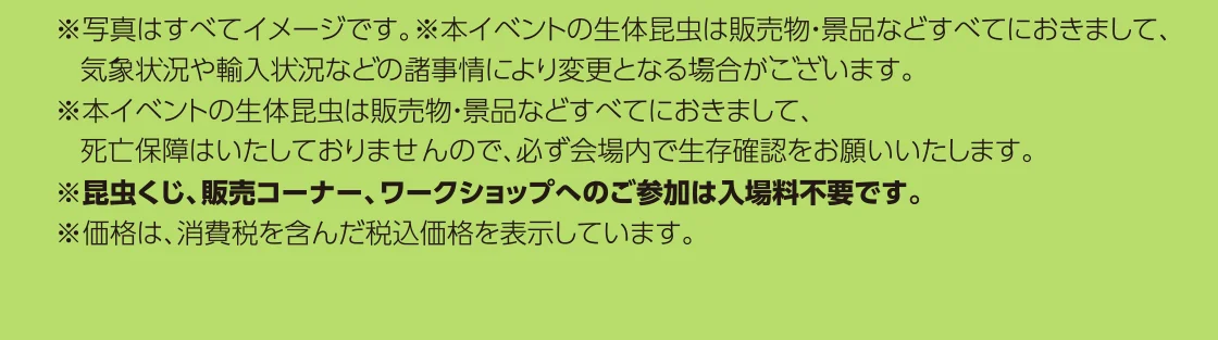 夏休みワークショップの注釈