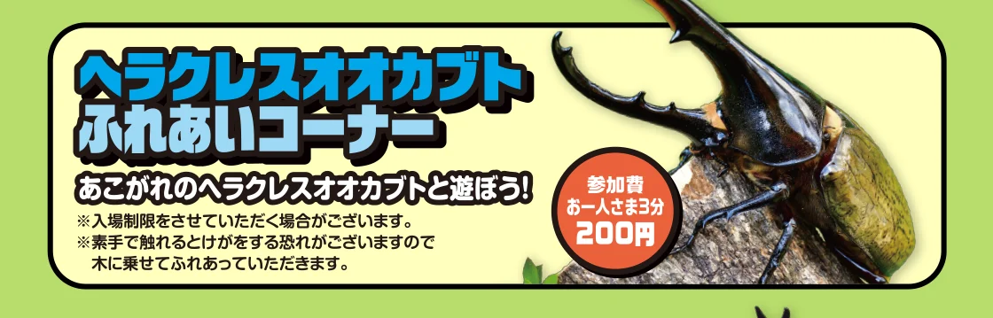 ヘラクレスオオカブトふれあいコーナー