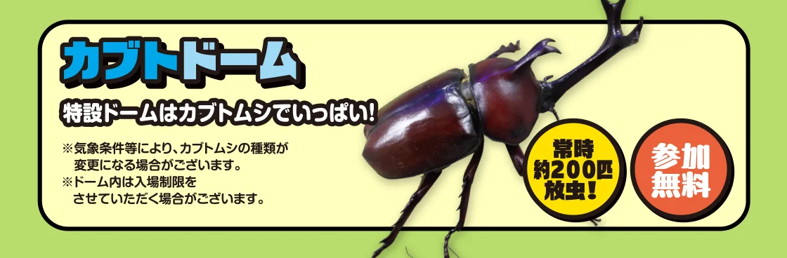 カブトドーム