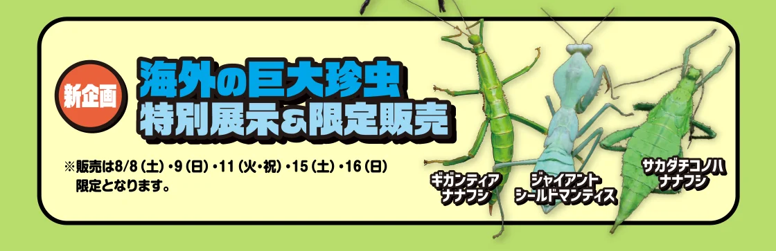 新企画 海外の巨大珍虫特別展示＆限定販売