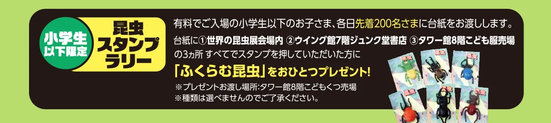小学生以下限定 昆虫スタンプラリー