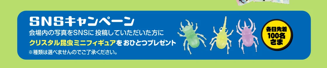 SNSキャンペーン