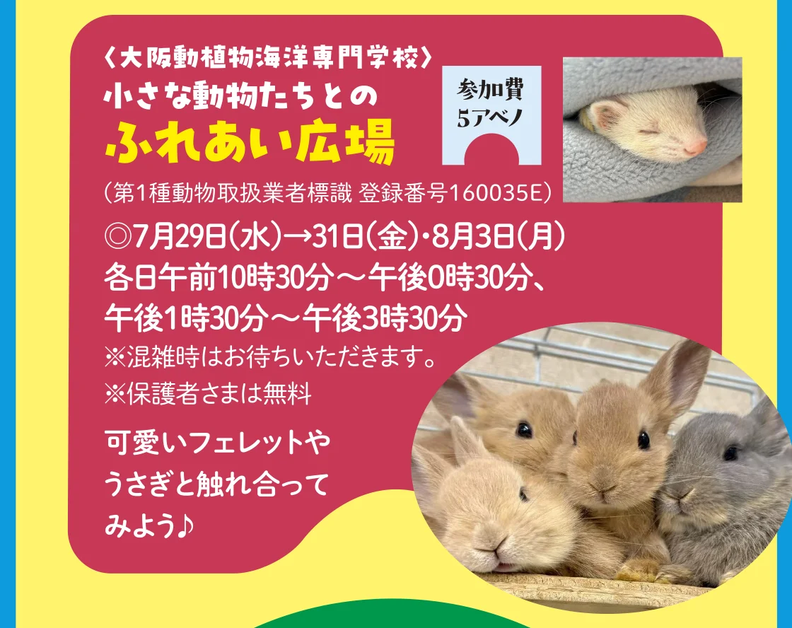 〈大阪動植物海洋専門学校〉小さな動物たちとのふれあい広場