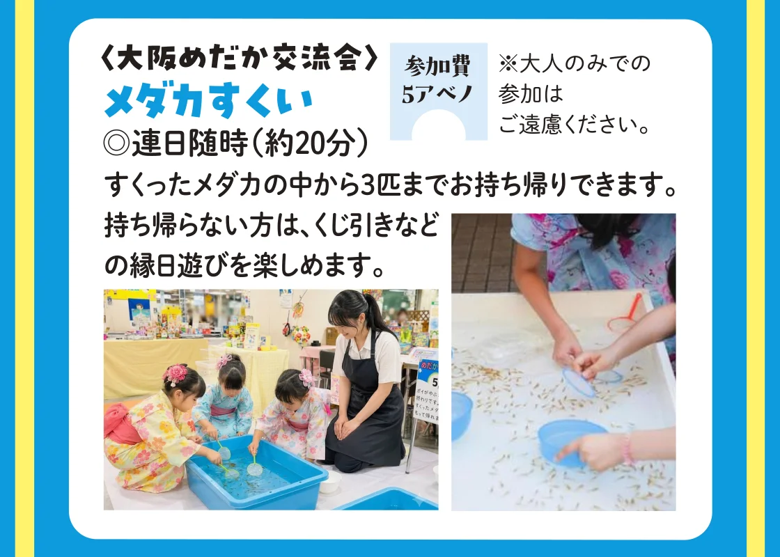 〈大阪めだか交流会〉メダカすくい