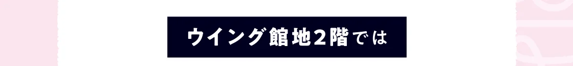 ウイング館地２階では