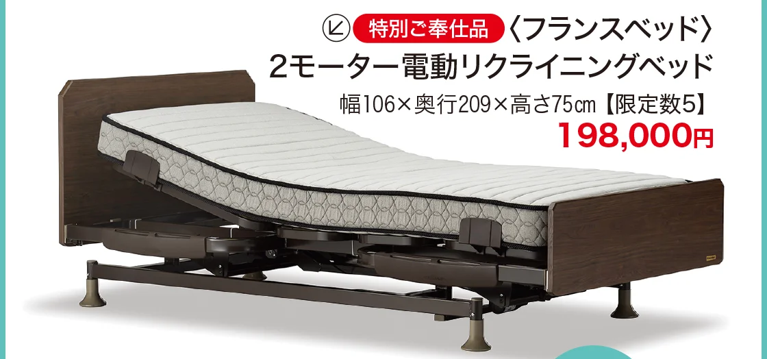 特別ご奉仕品〈フランスベッド〉2モーター電動リクライニングベッド