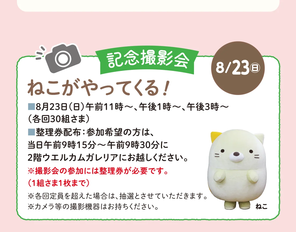 記念撮影会 ねこがやってくる！