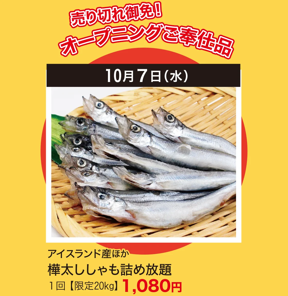 売り切れ御免！オープニングご奉仕品