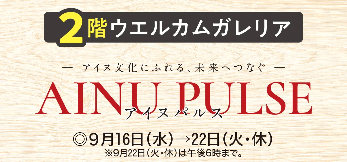 2階ウエルカムガレリア アイヌパルス