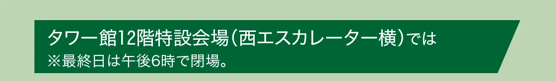 タワー館12階特設会場（西エスカレーター横）では