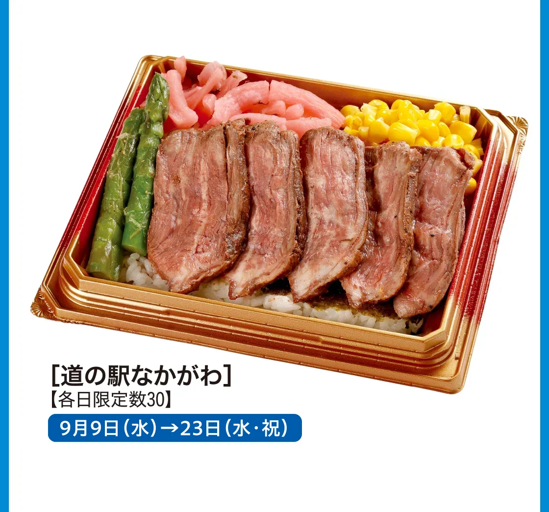 ［道の駅なかがわ］