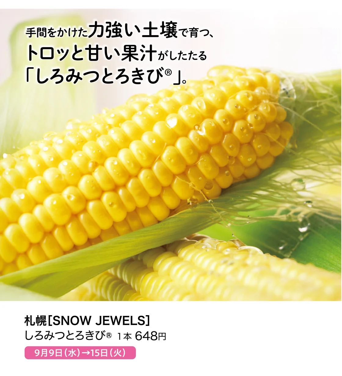 しろみつとろきび
