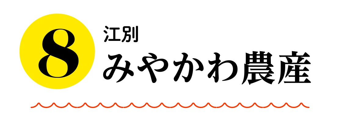 江別 みやかわ農産