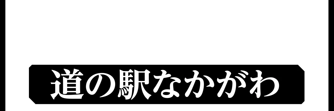 道の駅なかがわ