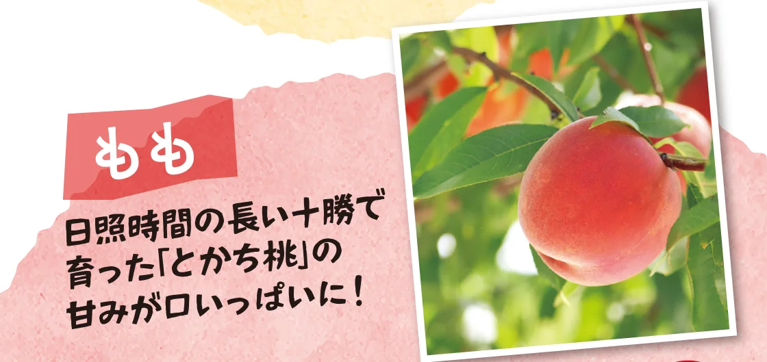もも