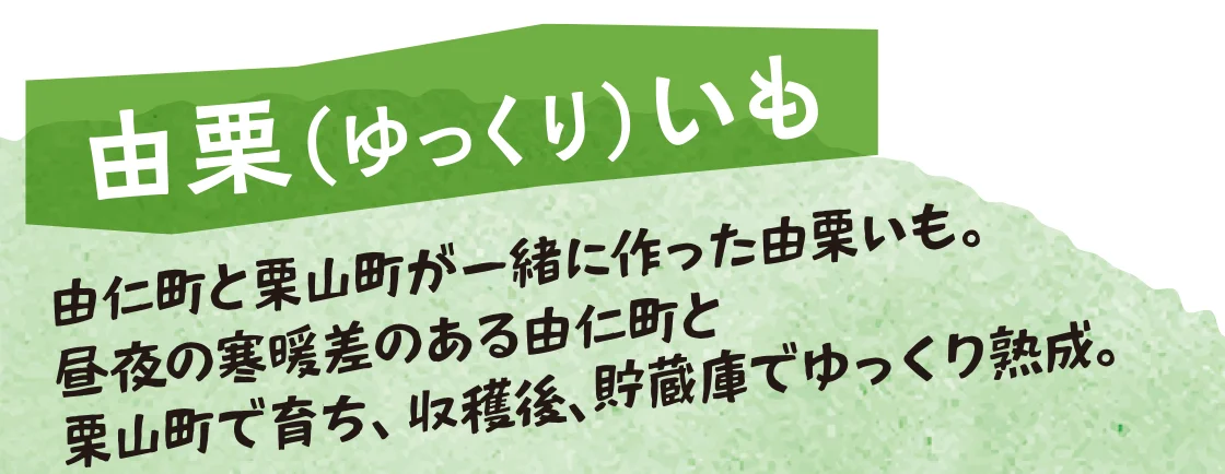 由栗（ゆっくり）いも