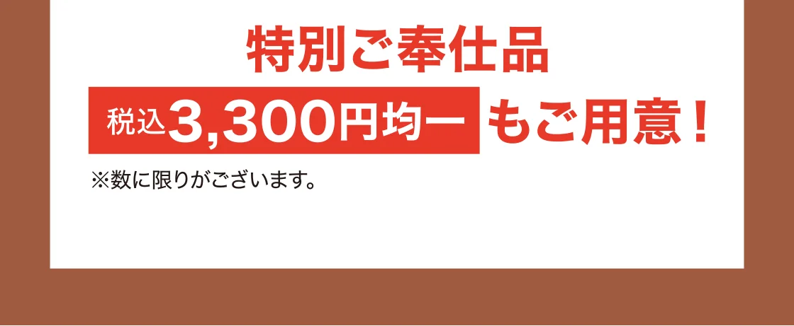 特別ご奉仕品 税込3,300円均一もご用意！