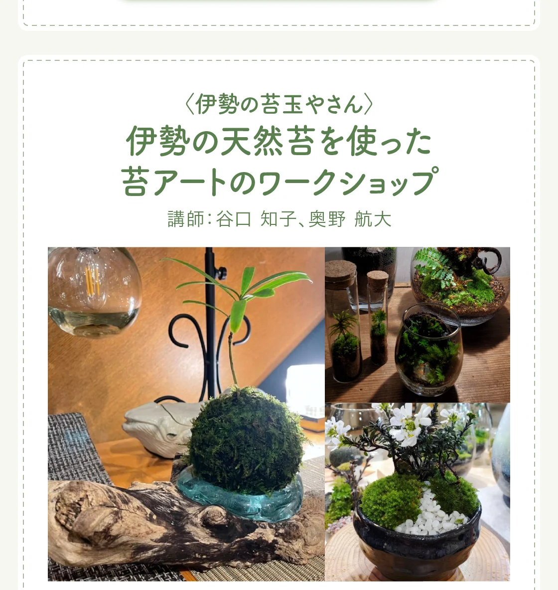 〈伊勢の苔玉やさん〉伊勢の天然苔を使った苔アートのワークショップ
