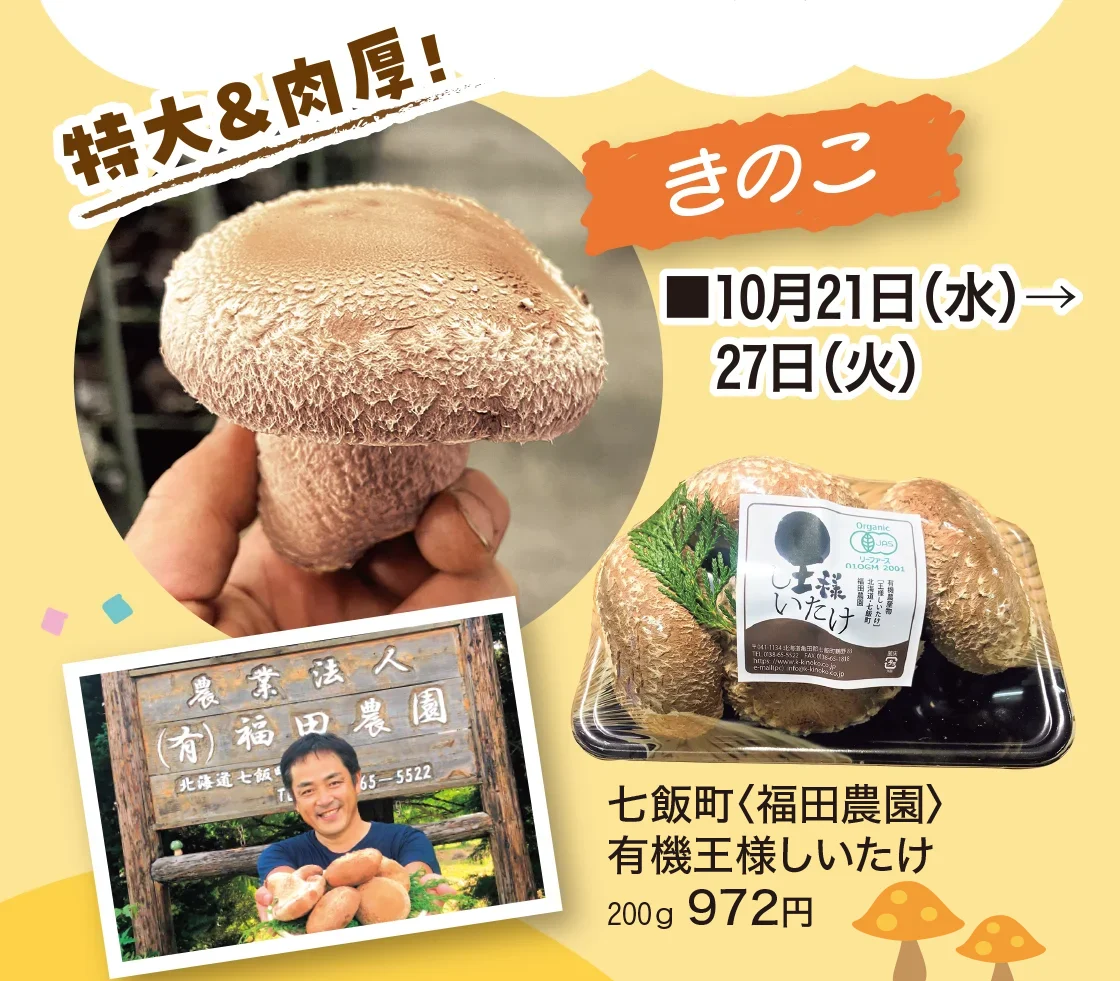 きのこ