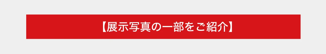 【展示写真の一部をご紹介】