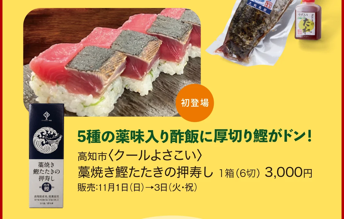 高知市〈クールよさこい〉