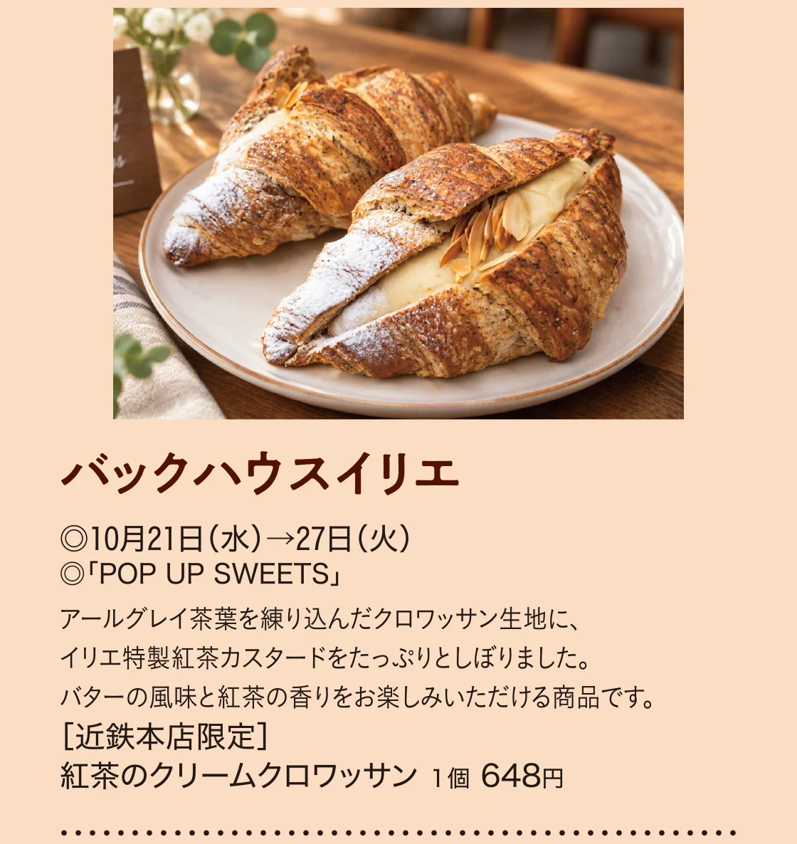 バックハウスイリエ