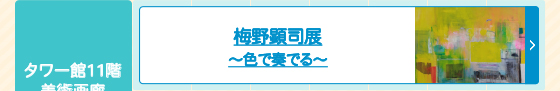 梅野顕司展 ～色で奏でる～
