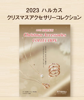 クリスマスアクセサリーコレクション