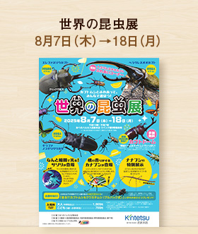 世界の昆虫展