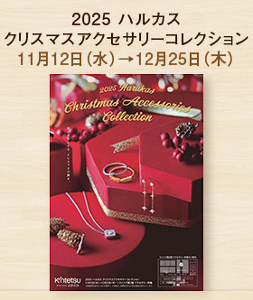2025 ハルカス クリスマスアクセサリーコレクション